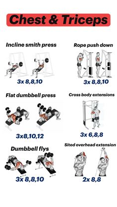 the chest and triceps workout guide