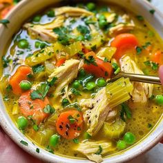 a person holding a bowl of chicken and vegetable soup