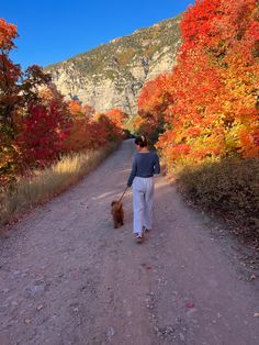 a woman walking her dog down a dirt road surrounded by trees with orange and red leaves