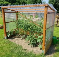 an outdoor garden with several plants growing in it