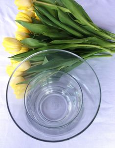 yellow tulips are in a clear glass bowl