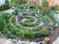 a circular garden in the middle of a yard with lots of plants and rocks around it