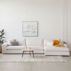 a living room with a white couch, coffee table and potted plant on the floor