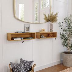 a living room with two wooden shelves and a potted plant on the side table