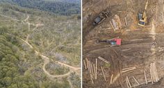 an aerial view of a forest with trees and construction equipment in the foreground, and on the right