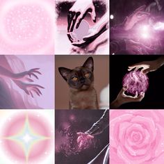 a collage of images with cats and flowers in them, including one cat's hand holding a crystal ball