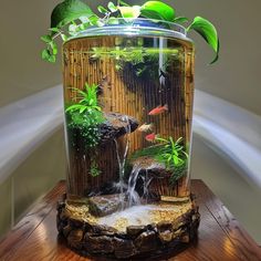 a fish tank filled with water and plants on top of a wooden table next to a wall