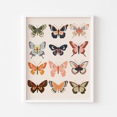 an image of butterflies in different colors on a white background with the words'butterfly collection '