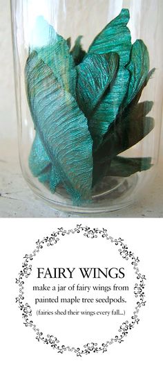 fairy wings in a glass jar with the words fairy wings written on it and an image of