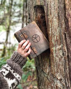 a person is holding a book in front of a tree with the word peace written on it