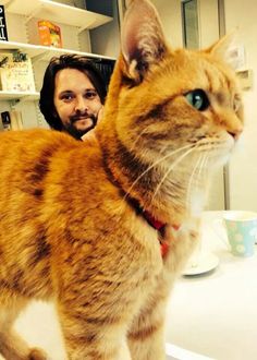 a cat standing on top of a counter next to a man