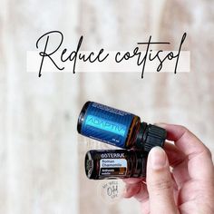 Essential Oils For Migraines, Essential Oil Roller Bottle Recipes, Calming Essential Oils, Essential Oil Remedy, Low Libido, Oil Remedies