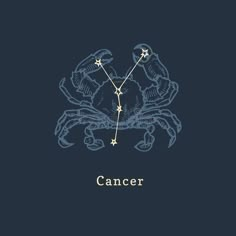 Astrological Sign, Graphic Illustration, Zodiac Sign, Crab, Stars, Design, Graphic Illustrations