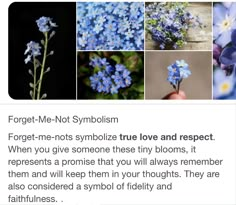 the blue flowers are in different pictures and have been posted by someone's facebook page