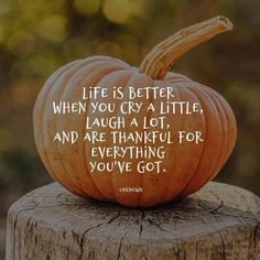 November Quotes, Thankful Quotes, Thanksgiving Wishes, Autumn Pumpkins, Weekday Quotes, Happy Morning Quotes, Thanksgiving Images, Thankful Thursday, Thankful Heart