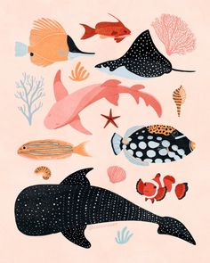 an illustration of different types of sea animals