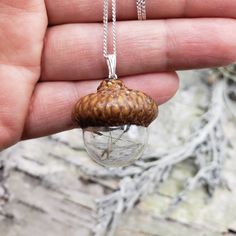 a hand holding a small glass ball with a tiny pine cone inside it on a chain