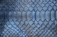 an image of a snake skin background