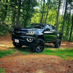 a black truck is parked in the woods