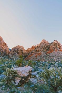 the mountains are covered in plants and rocks at sunset or dawn, with no clouds