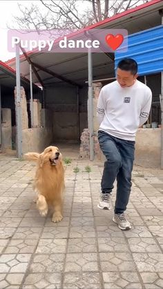 a man is walking his dog down the sidewalk in front of a sign that says puppy dance