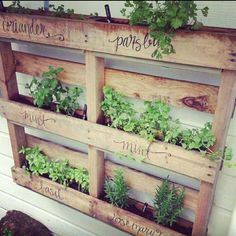 an old wooden pallet is filled with plants and herbs to make a herb garden