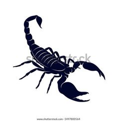 a scorpion silhouette on a white background