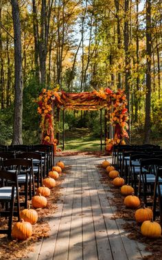 an outdoor ceremony with pumpkins on the ground and chairs lined up along the aisle