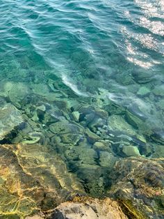 the water is very clear and blue with some green algae on it's bottom