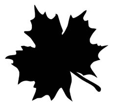 a black and white silhouette of a leaf