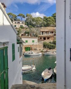 several boats are docked in the water near some buildings and trees, with green shutters on either side