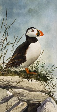 a painting of a puffy bird sitting on top of a rock next to some grass