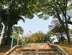 an old set of stairs leading up to trees