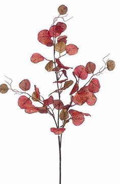 a plant with red leaves is shown on a white background