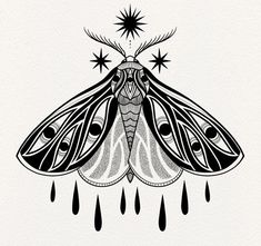 a black and white drawing of a moth with drops of water on it's wings