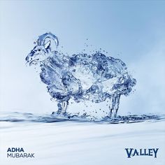 an animal made out of water splashing in the air