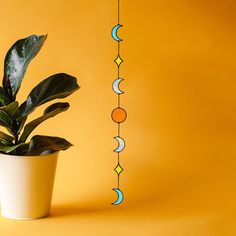 a potted plant sitting on top of a yellow table