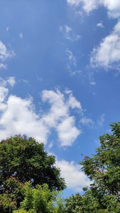 an airplane is flying in the sky above some trees and bushes on a sunny day