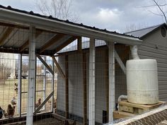 a chicken coop with two chickens in it and one on the other side of the fence