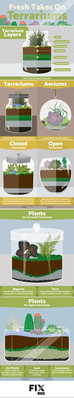 an info sheet showing different types of plants