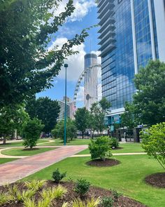 a park with lots of green grass and trees in front of tall buildings on a sunny day