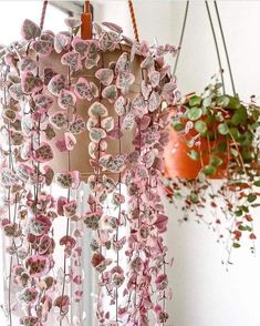 two hanging planters filled with pink and white flowers