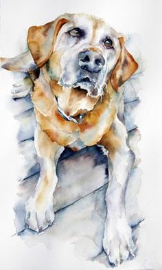 a watercolor painting of a dog laying down