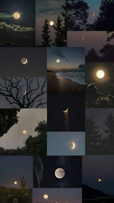 many different images of the moon and trees