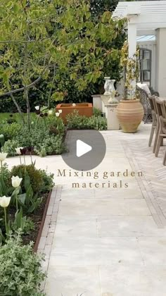 a garden with white flowers and green plants