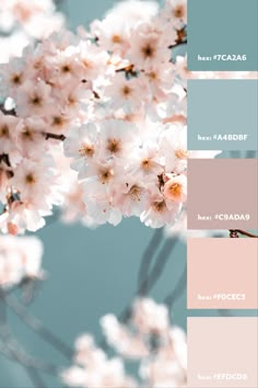 the color palette is pink and blue with white flowers