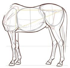 how to draw a horse step by step