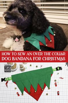 how to sew an over the collar dog bandana for christmas with free pattern