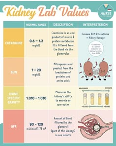 kidney lab rules poster with information on how to use the urine in your body and what you need to know about it