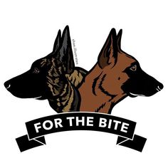 two german shepherd dogs with the words for the bite